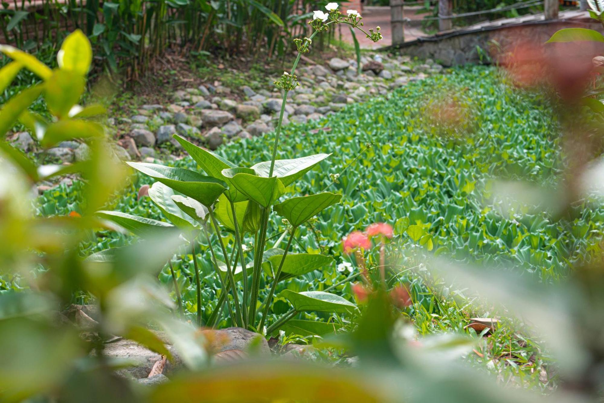แม่โขง รีสอร์ต แอนด์ เรสต์สต็อป Hotel Ap Thanh Nguyen ภายนอก รูปภาพ